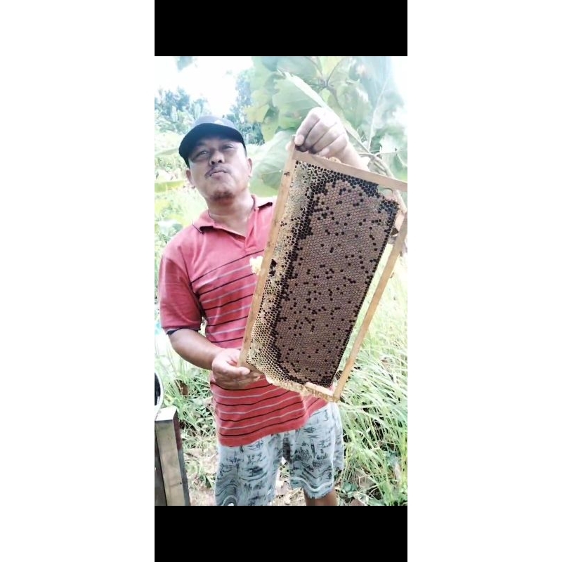 

Madu Randu