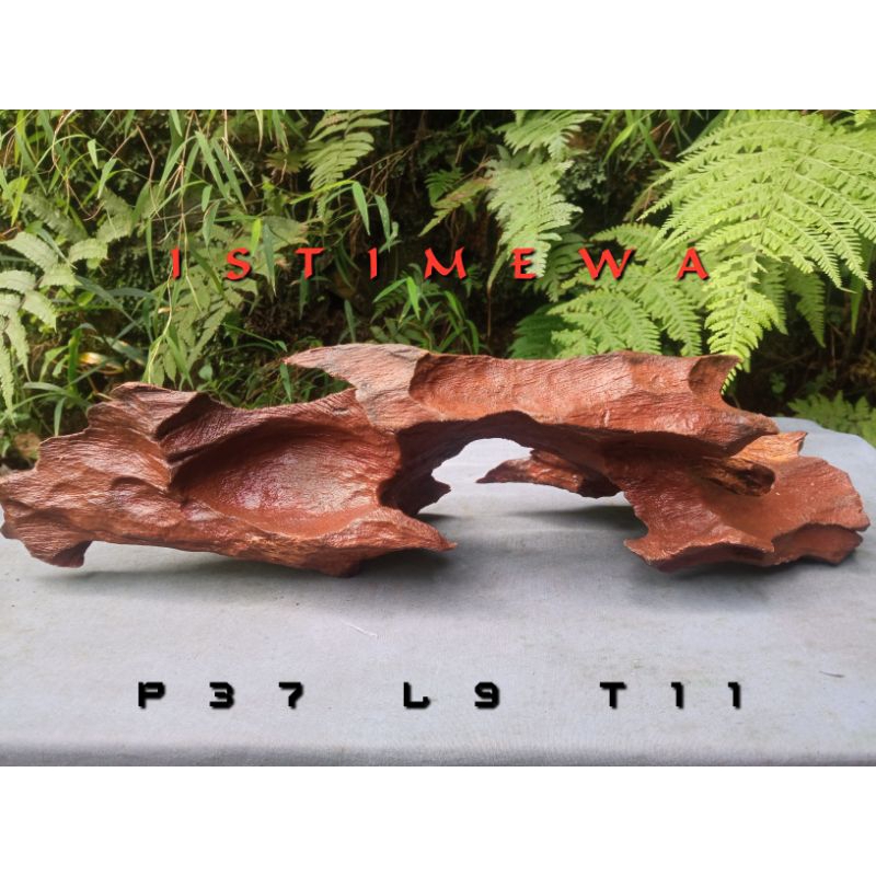 kayu aquascape murah size XXL (Full Tenggelam)