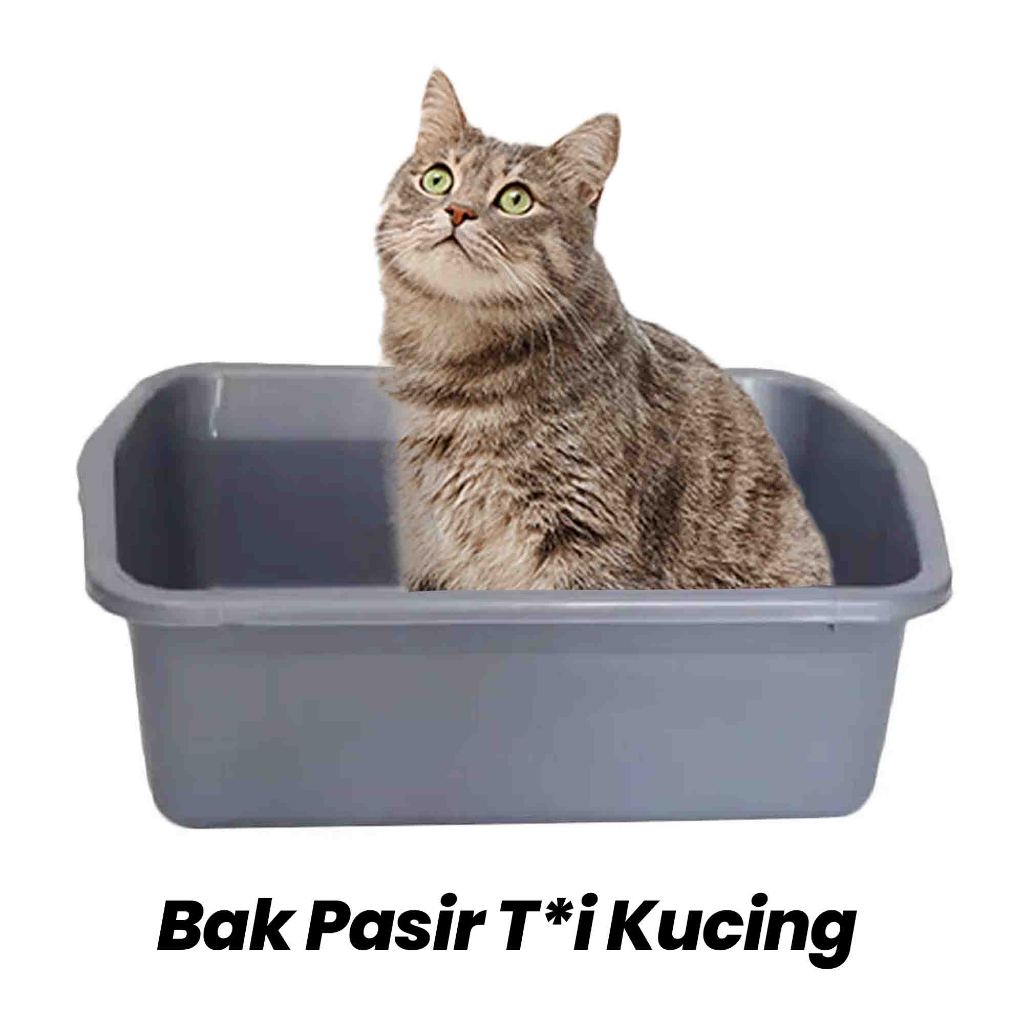 BAK Hidroponik / Bak Tahu Kotak Multifungsi / Tempat Tahu Plastik / Litter Box Kucing