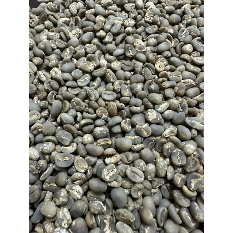 

Semiwash Arabika gayo screen7+