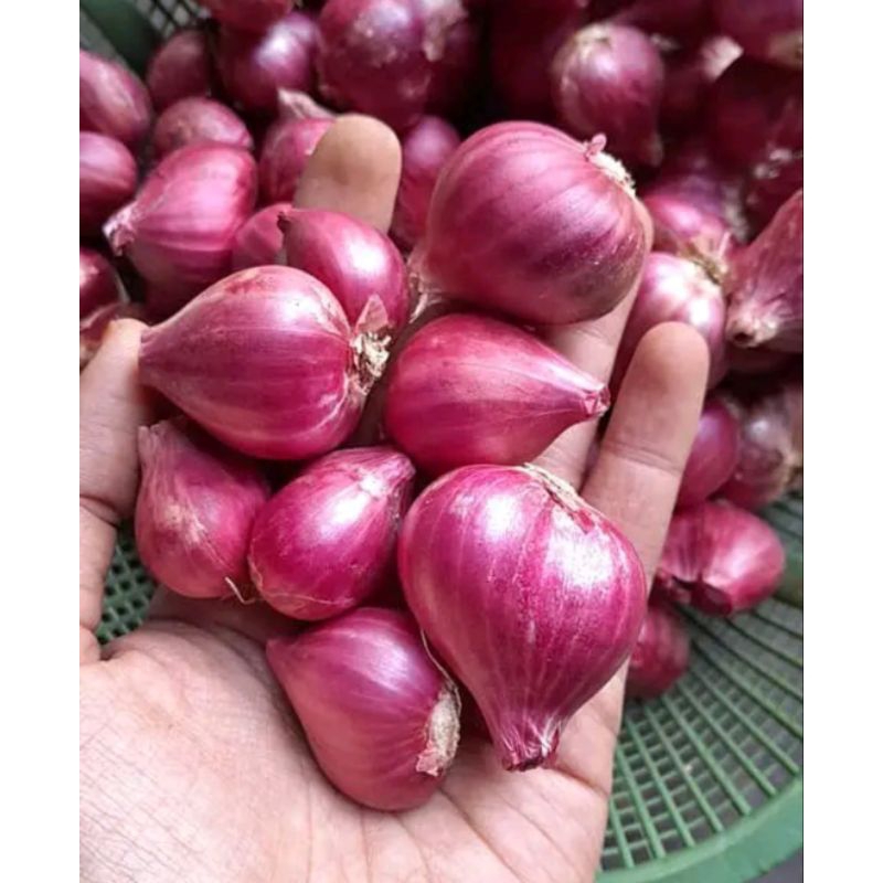 

bawang merah murah 1/2 kg/bumbu masak|bawang merah berkualitas