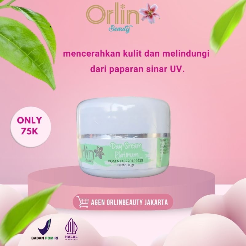 DAY CREAM FLEK ORLIN BEAUTY