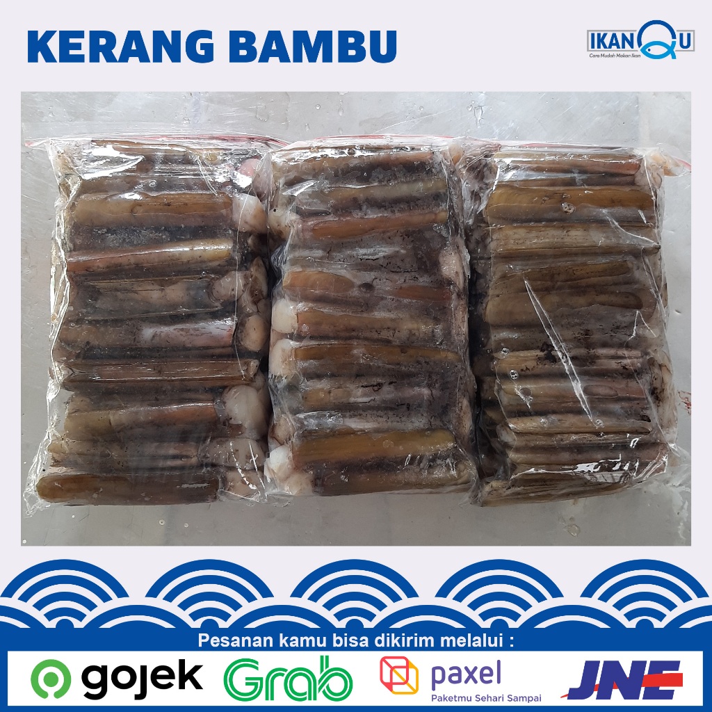 

KERANG BAMBU Seafood besar (1Kg)/Kerang bambu segar/Kerang bambu fresh