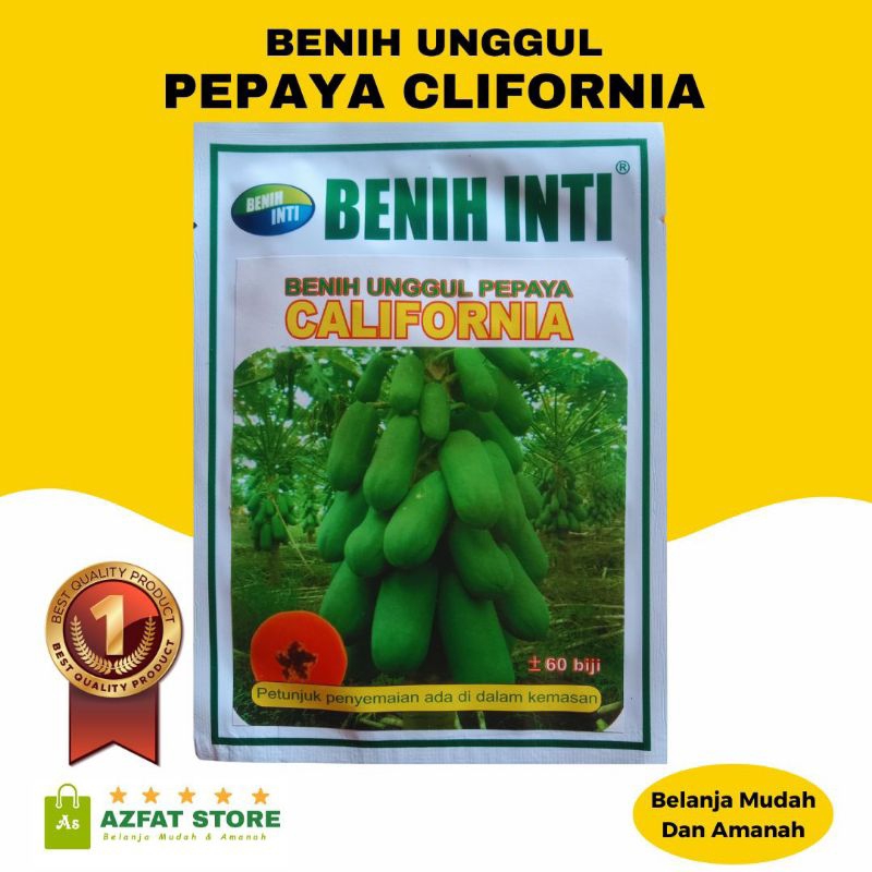 

Benih Pepaya California Super Unggul
