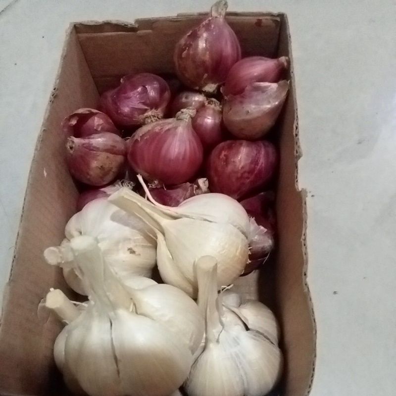 

paket bamer & bawang putih kating