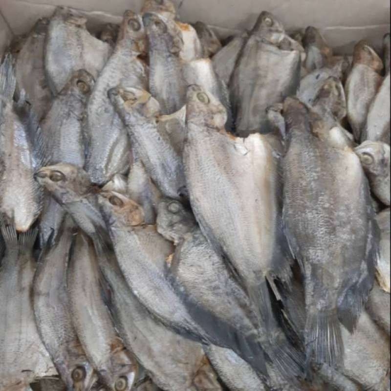 

ikan sepat kering