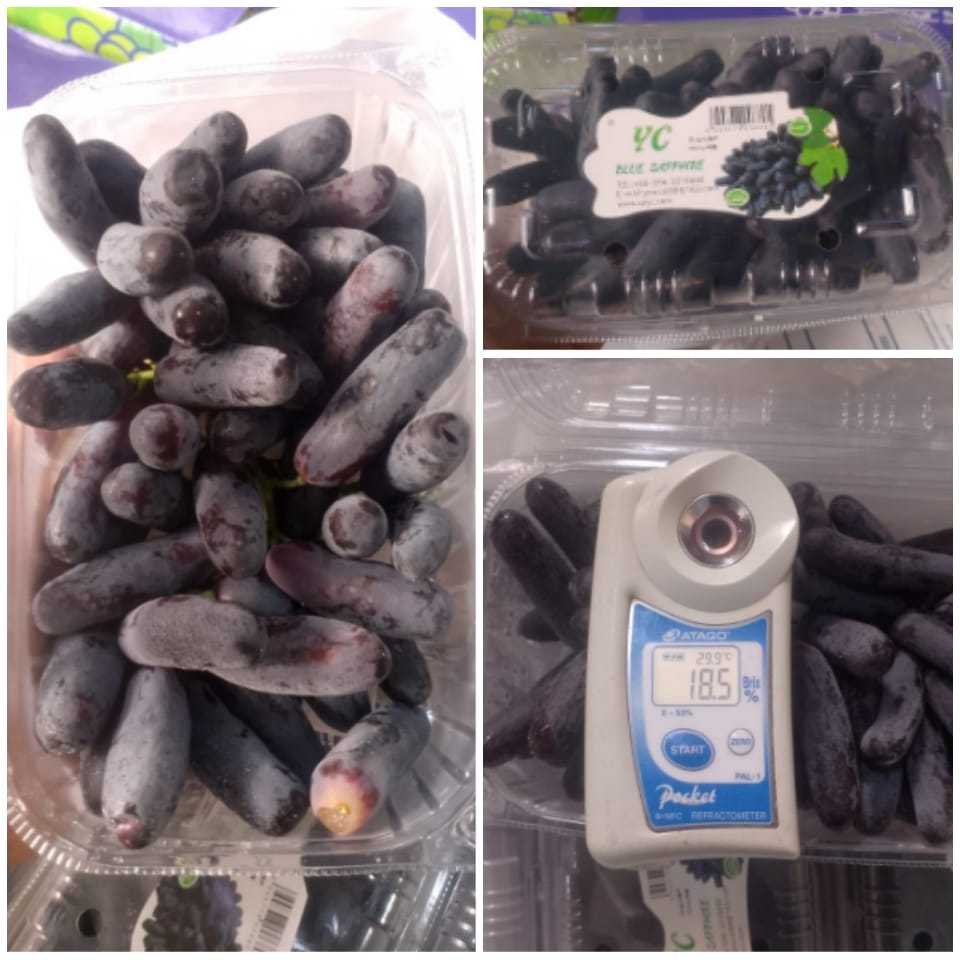 

BUAH ANGGUE SWEET SAPHIRE`