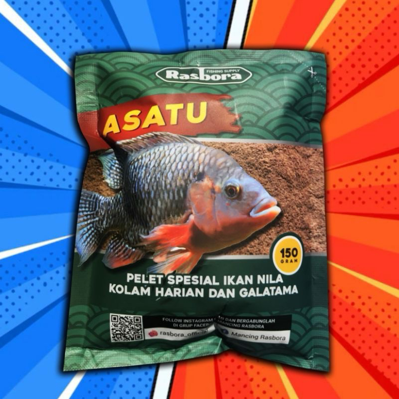 Umpan Nila Rasbora Asatu