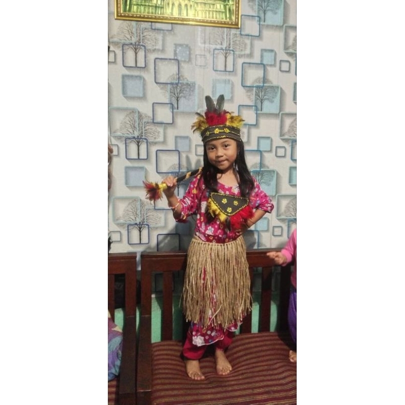 Rok rumbai Papua, Rok Papua, Rok adat, Rok Pentas Seni, Kostum tari, Kostum Karnaval