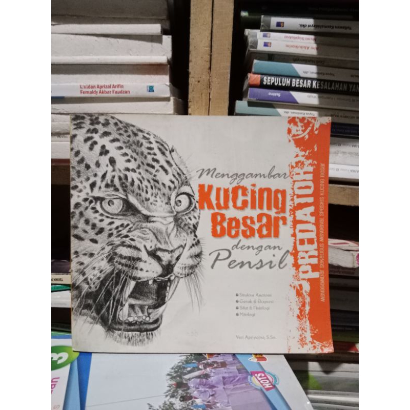 

Buku Menggambar Kucing Besar Dengan Pensil