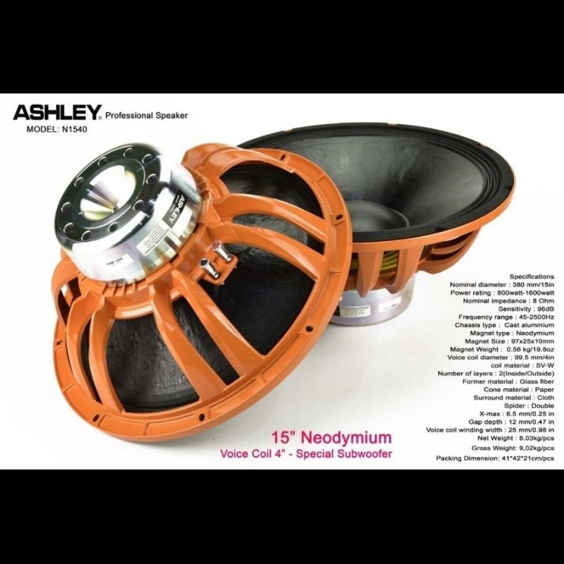 SPIKER ASHLEY 15INC"