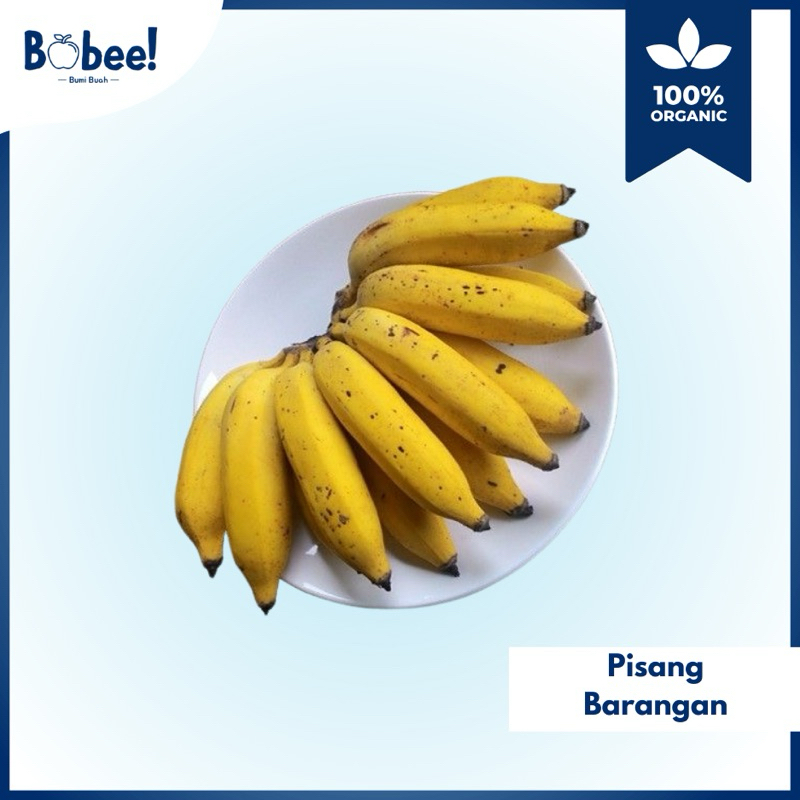 

Pisang Barangan Super 1 Sisir Fresh & Premium | Bobee.official - (Instant/Sameday)