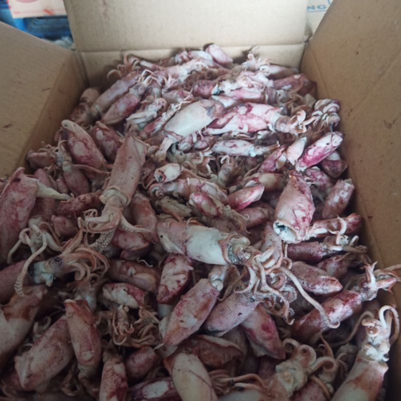 

cumi asin UK sedang 500grm