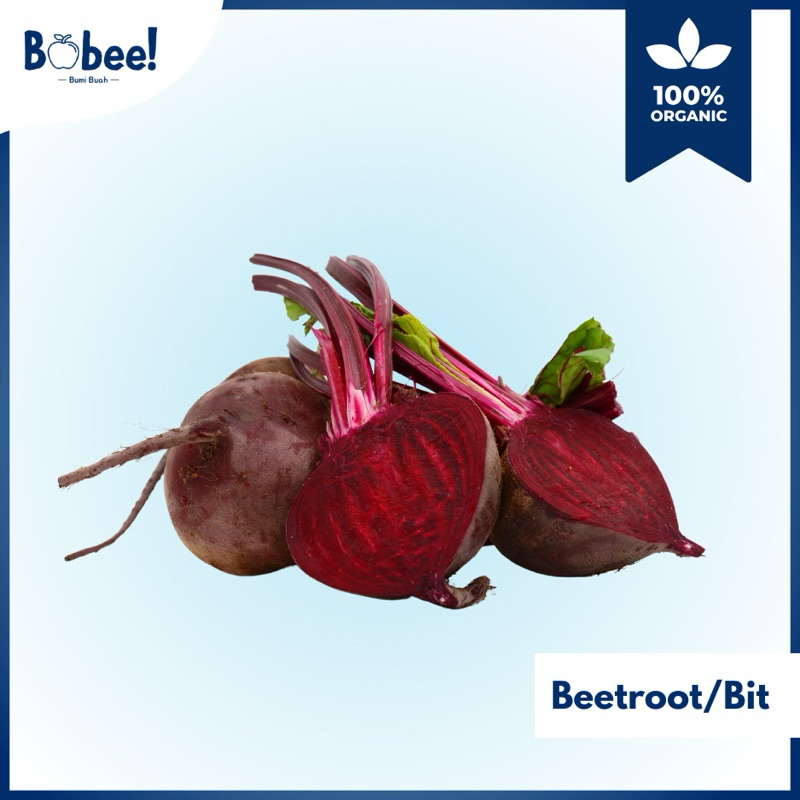 

Buah Bit/Beetroot Super Lokal Fresh & Premium | Bobee.official - (Seluruh Indonesia)