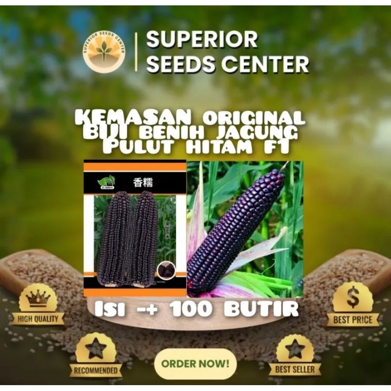 kemasan original biji benih jagung pulut hitam manis impor F1 (isi 100 butir biji benih)