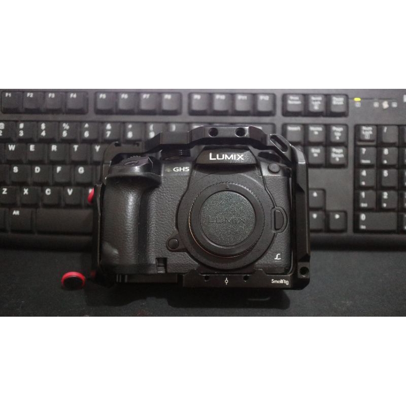 Panasonic Lumix GH5 Bekas