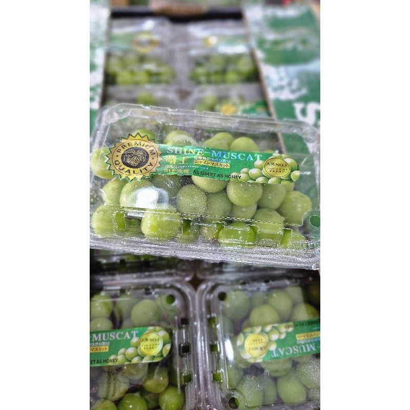 

Anggur hijau seedless shine muscat 500 gr