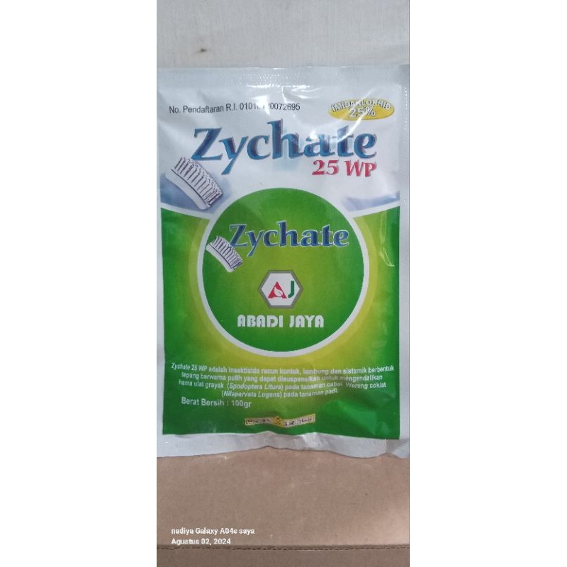 Zychate 25 WP 100GR
