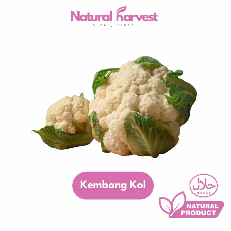 

Kembang Kol Super Fresh 1kg | NaturalHarvest!