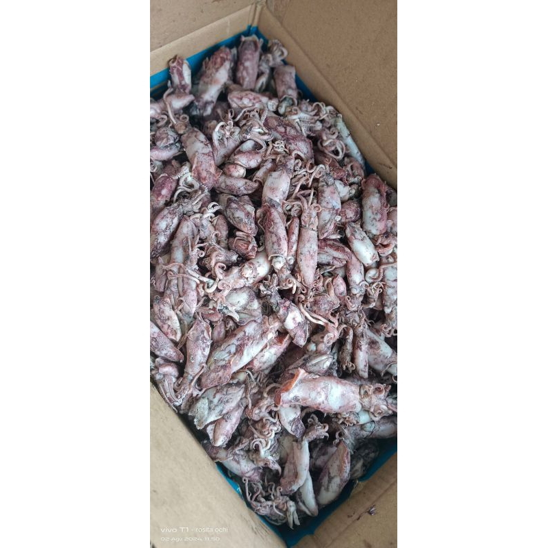 

Ikan asin cumi vacum 1kg /cumi asin /rebus/basa/cumi asin super paling murah