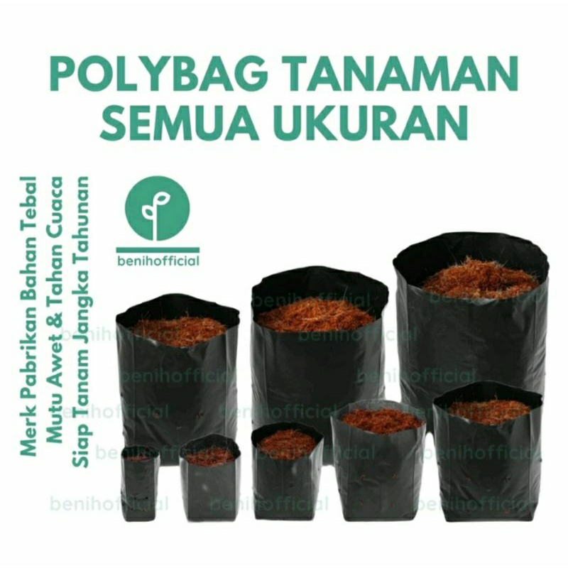 Harga tanaman polibag Terbaru Jun 2026 | BigGo Indonesia