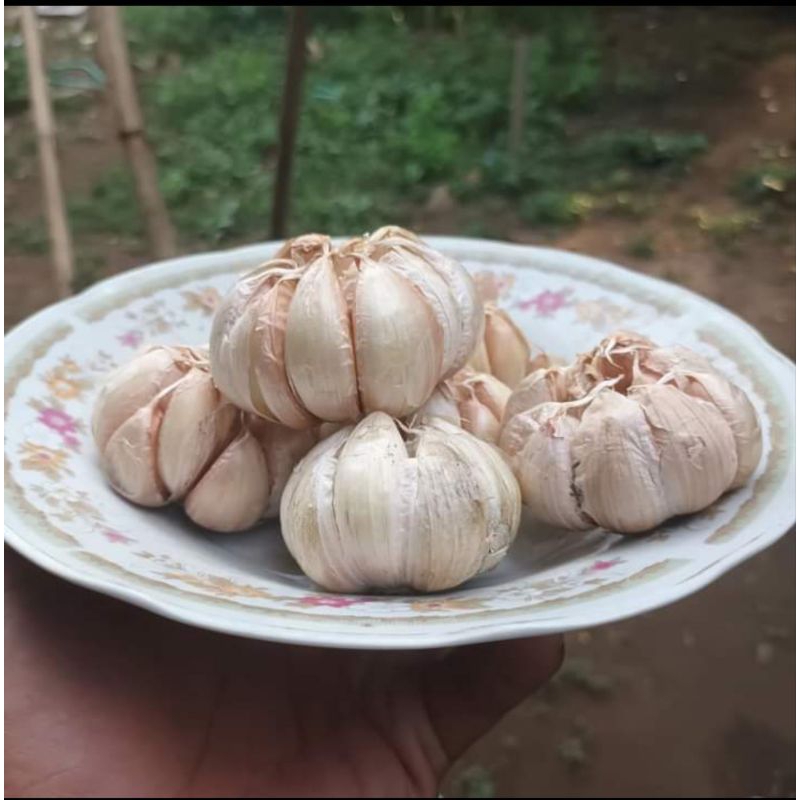 

bawang panggang