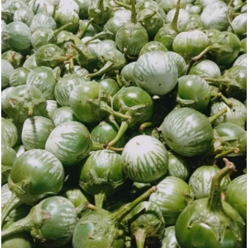 

TERONG BULAT FRESH per 500 gram