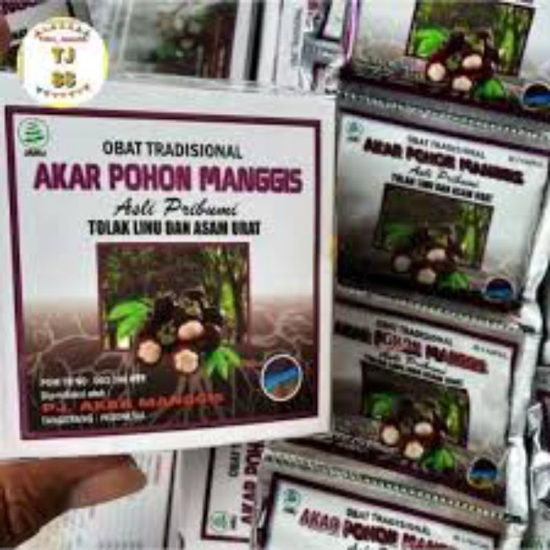 AKAR POHON MANGGIS Obat Herbal Asam Urat