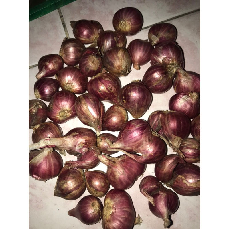 

Brambang Merah harga per 1/2 kg/500g