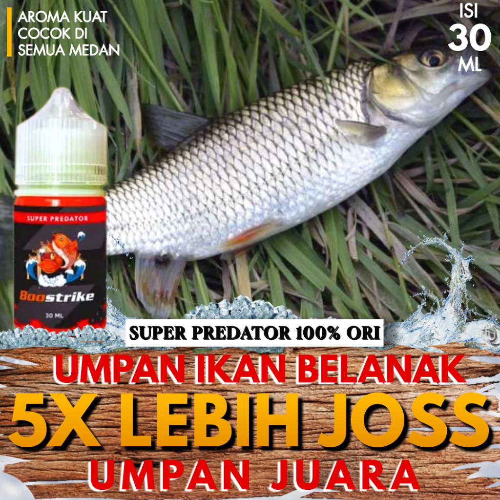 Boostrike Official -  Umpan Essen Ikan Belanak Paling Ampuh 5x Lebih Cepat Strike