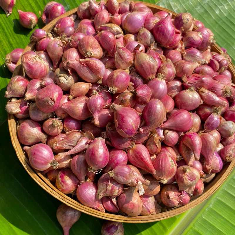 

BAWANG MERAH KUALITAS SUPER UKURAN KECIL 500GR