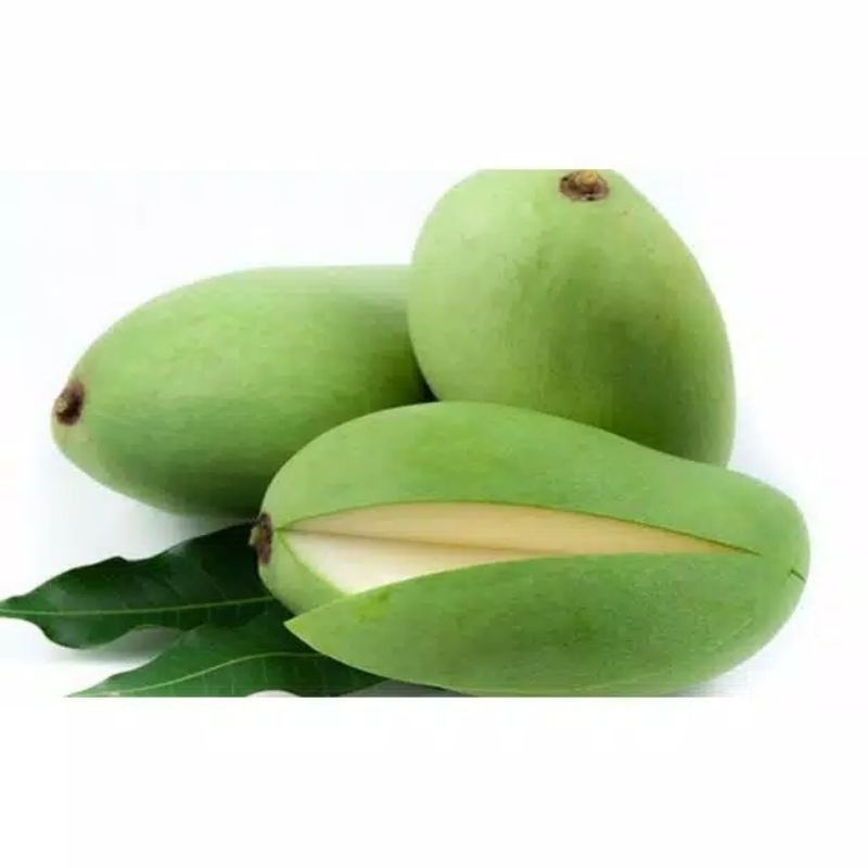 

mangga muda 500gram