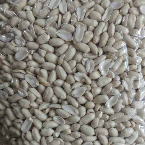 

Kacang Tanah Kupas Mentah Jumbo 25/29 500g - 1kg