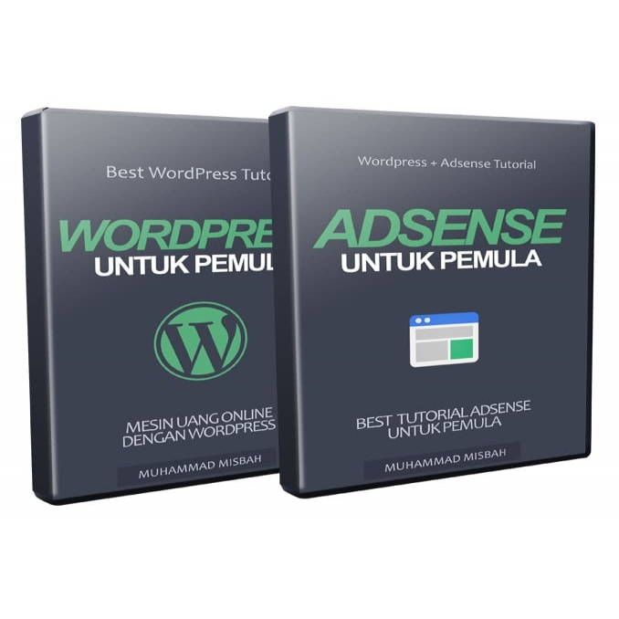 PANDUAN ADSENSE DAN WORDPRESS PEMULA