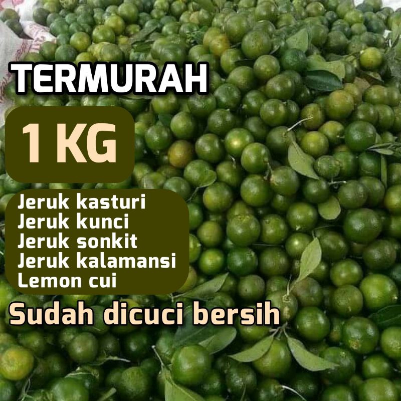 

1kg Jeruk kasturi Jeruk kunci Jeruk sonkit Jeruk kalamansi Jeruk kunci bangka Jeruk peras kasturi Buah jeruk peras