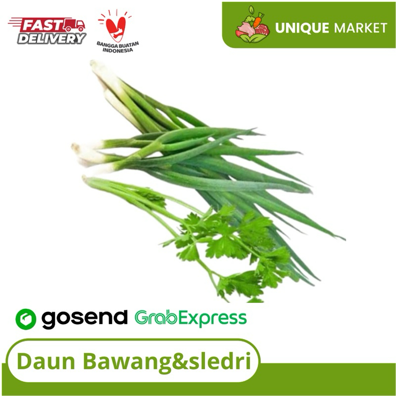 

Daun Sledri,Daun Bawang,Mix Daun Bawang&Sledri