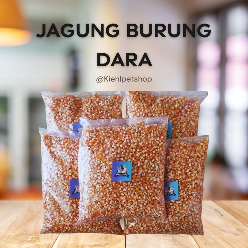 JAGUNG KERING BURUNG DARA 1 KG | PAKAN BURUNG DARA | JAGUNG BURUNG DARA 1 KG | JAGUNG KILOAN