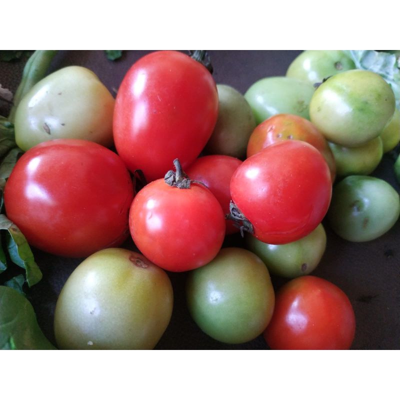 

(PROMO) Tomat 200 gram