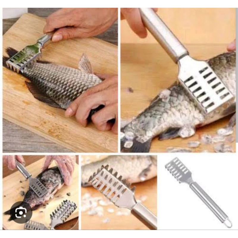 Alat Pembersih Sisik Ikan Kerokan Sisik Ikan Stainless Steel