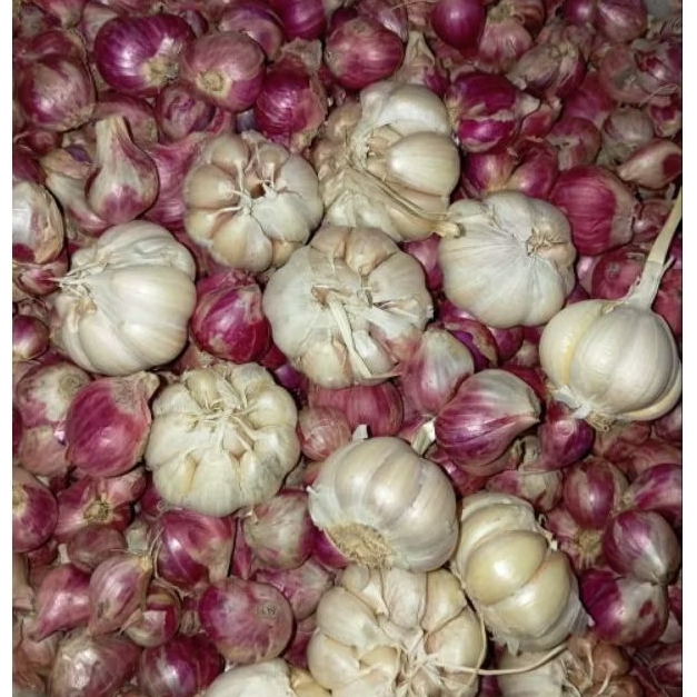 

1 Paket Bawang Merah 500gram + Bawang Putih Sinco 500gram