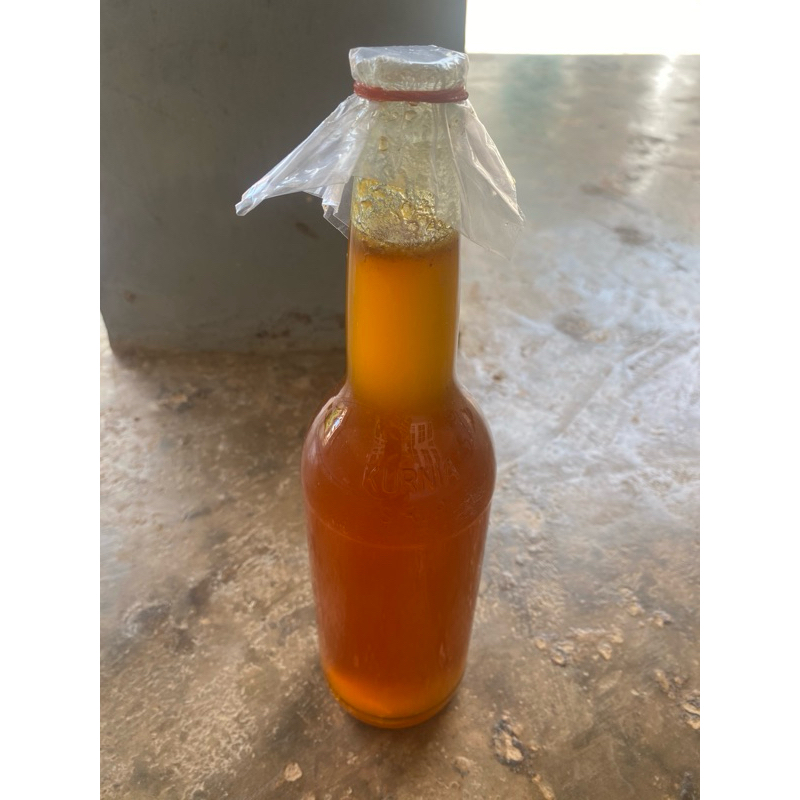 

Madu liar madura / lebah cerana