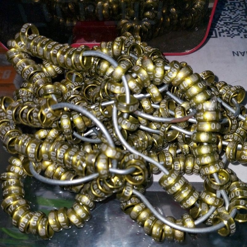 Ring jatim Ppmbsi 2024