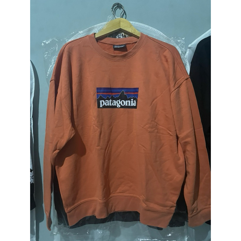 crewneck patagonia