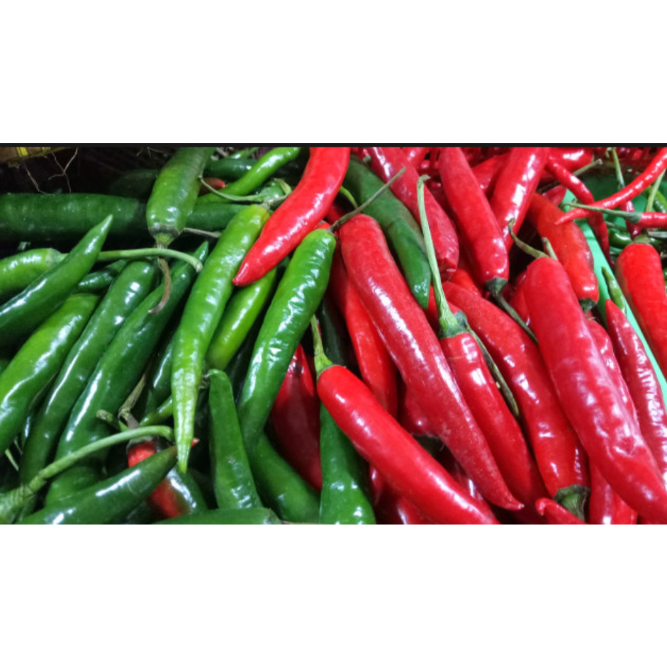 

Cabe Besar Merah hijau tanjung segar fresh KIRIM INSTAN