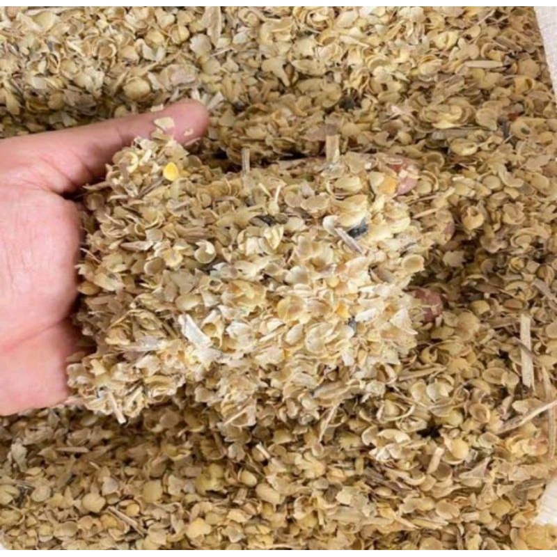 

kulit kedelai 1kg comboran kambing