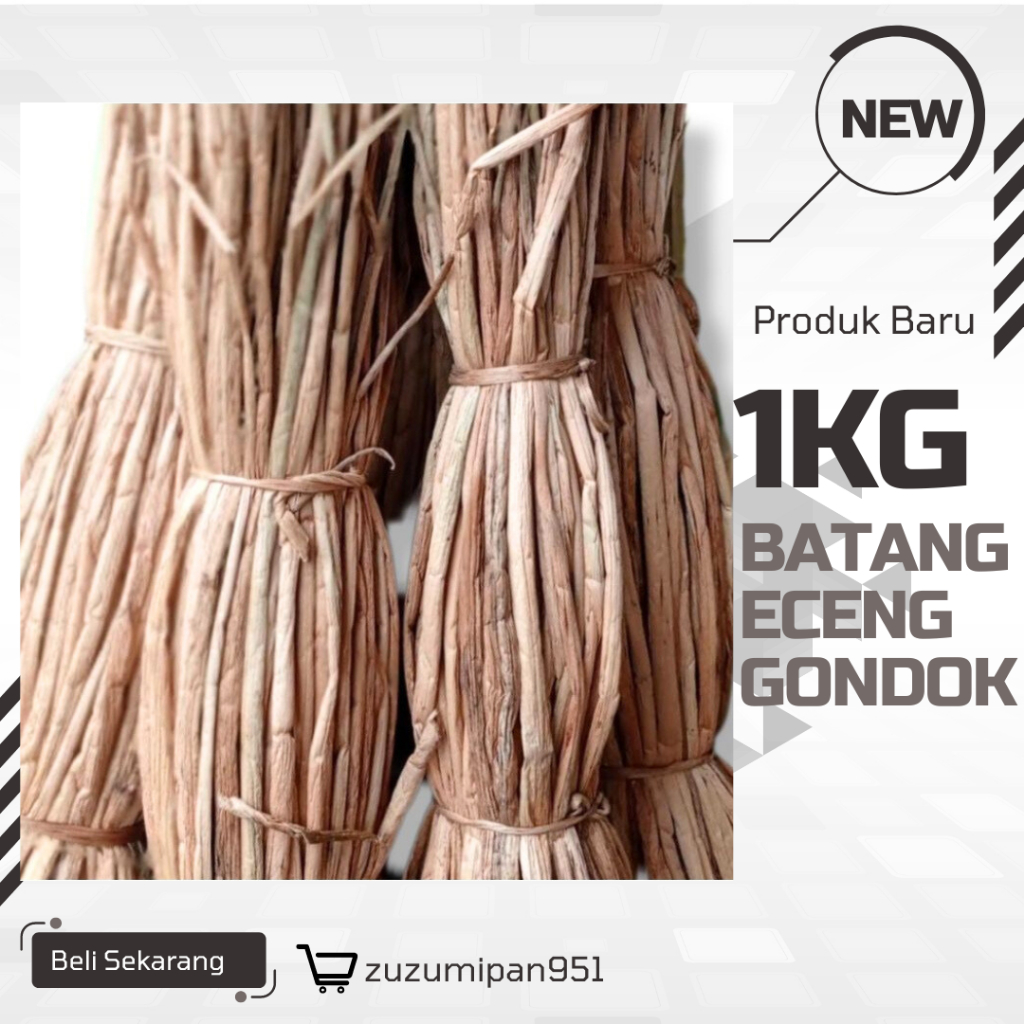 ECENG GONDOK KERING|1KG BATANG ENCENG GONDOK BERKUALITAS|BESTSELLER DAN TERMURAH