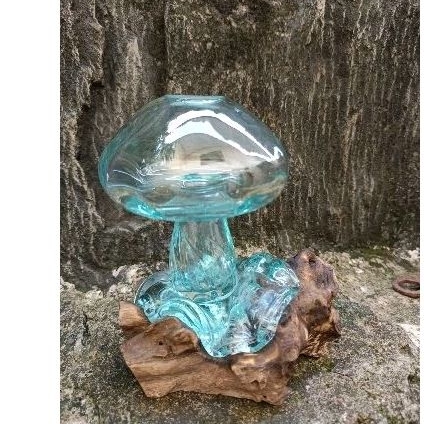 Aquarium mini aquarium cupang vas pot sukulen souvenir Akuarium Kayu