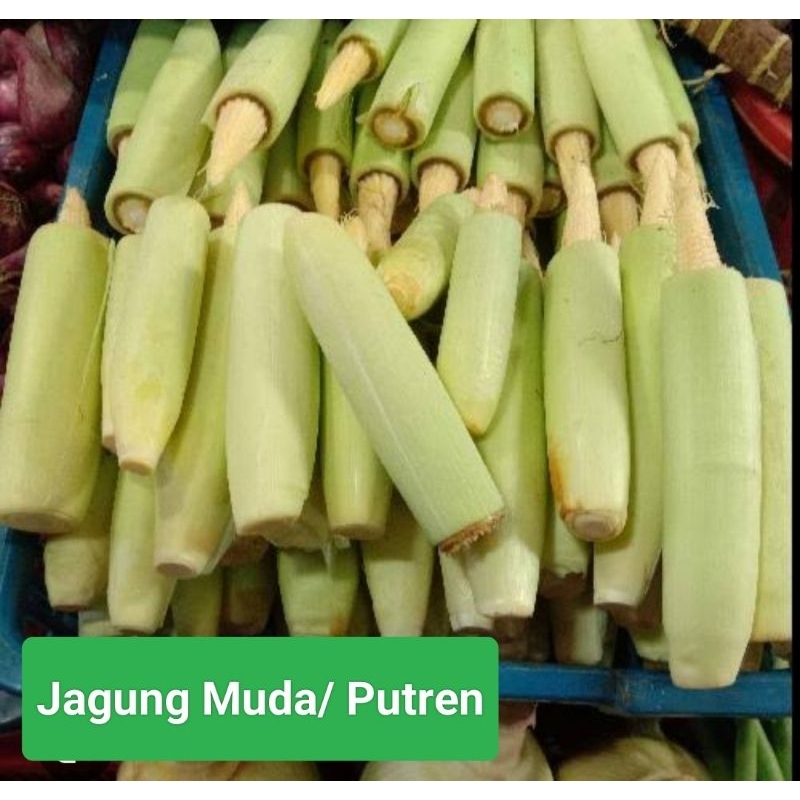 

Jagung Muda/ Putren / Baby Corn per 500 Gram