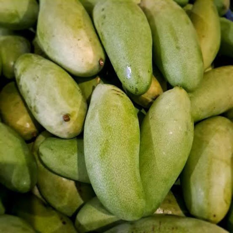 

buah mangga golek 1kg
