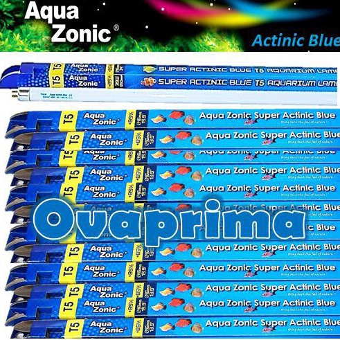 KODE Q68D Neon TL Super Actinic Blue 8Watt Aquazonic T5 Super Bright 15cm